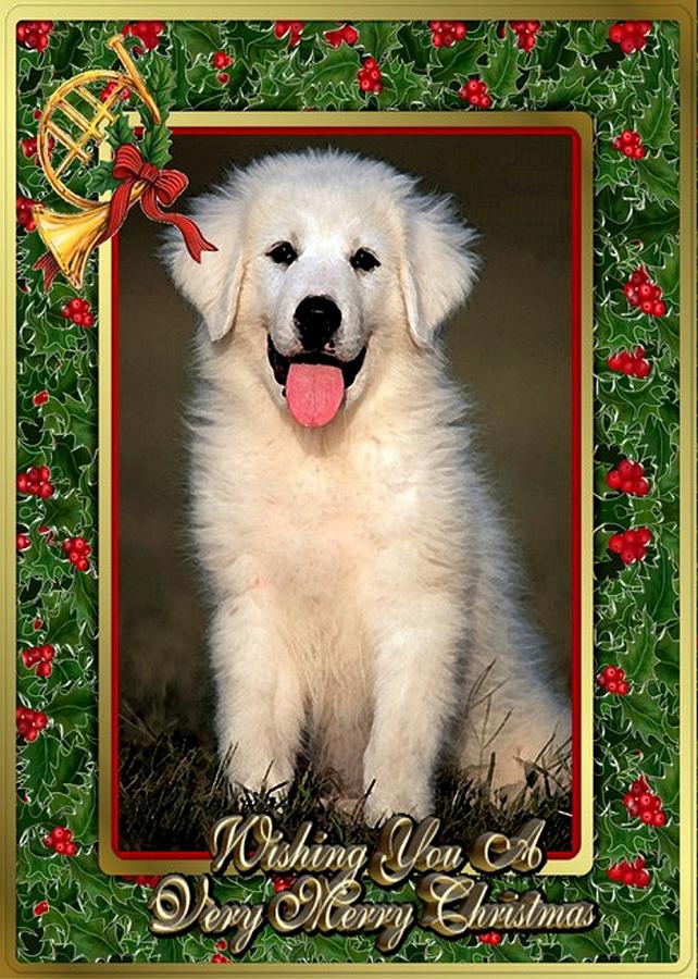 Great Pyrenees Dog Christmas Painting by Olde Time  Mercantile