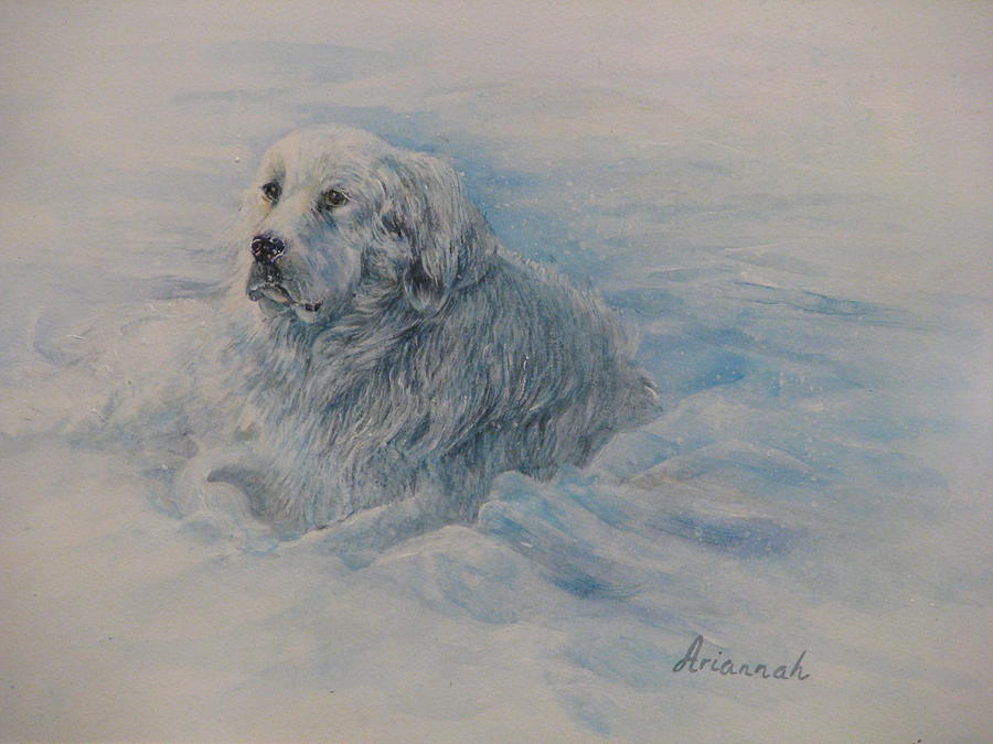 Great Pyrenees Dog Painting by Ursula Brozovich
