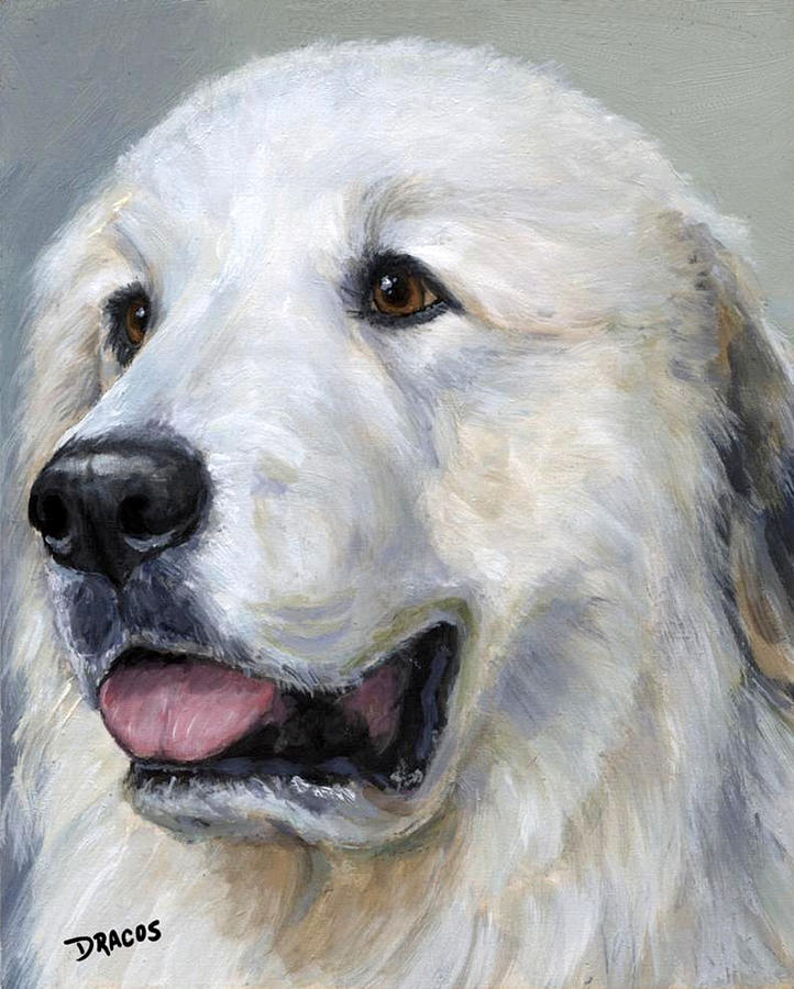 Dog Painting - Great Pyrenees on Grey by Dottie Dracos