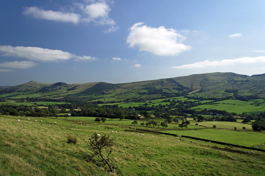 Tree Photograph - Great Ridge Hills - from the Pennine Way by Rod Johnson