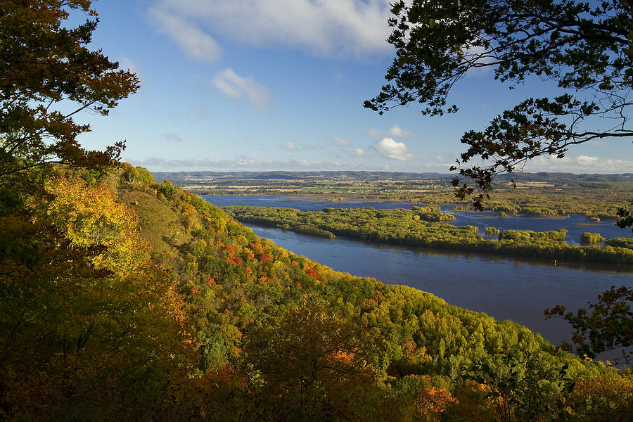 Tree Photograph - Great River Bluffs SP Vista Autumn 1 A by John Brueske
