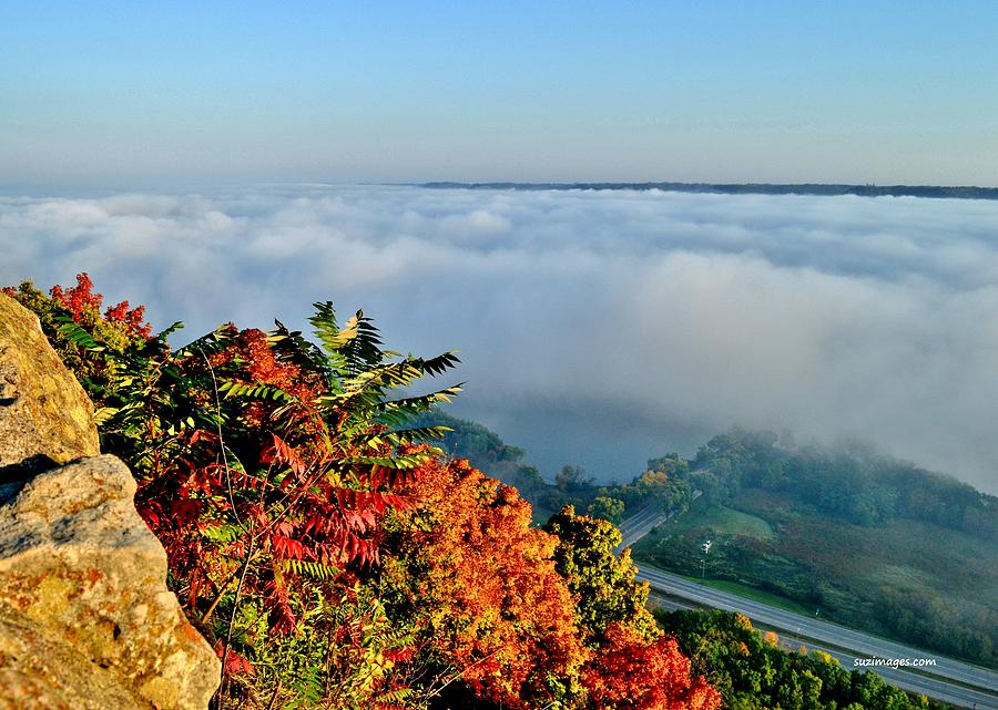 Great River Road Fog Photograph by Susie Loechler