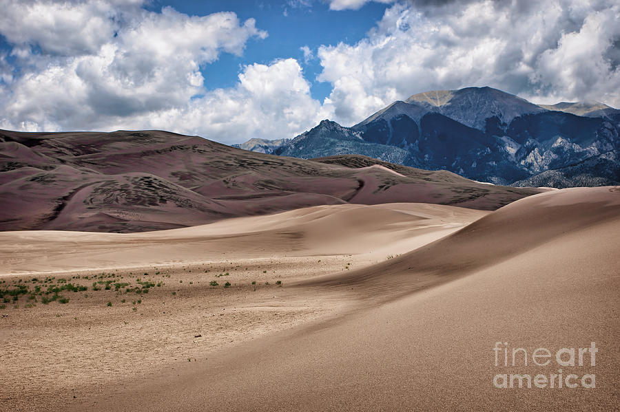 Great Sand Dunes #6 Photograph by Nikolyn McDonald