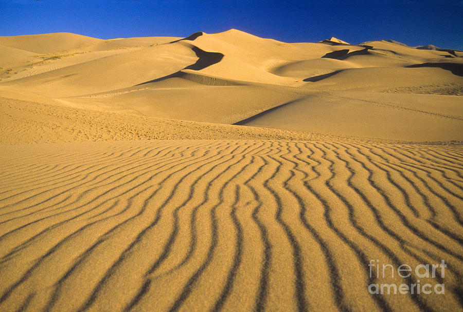 Great Sand Dunes National Park Photograph - Great Sand Dunes National Park #1 by Richard and Ellen Thane