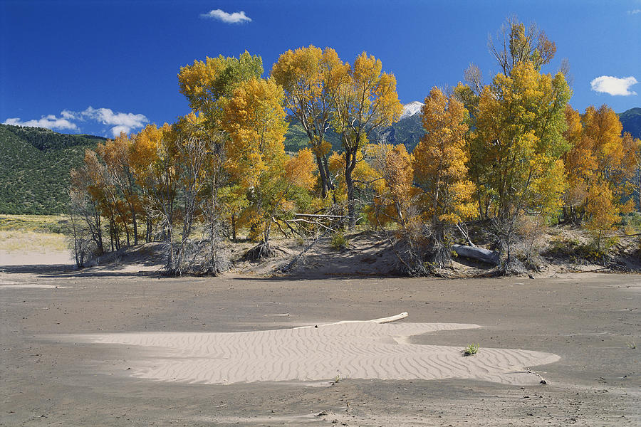 Great Sand Dunes National Park Photograph by James Steinberg