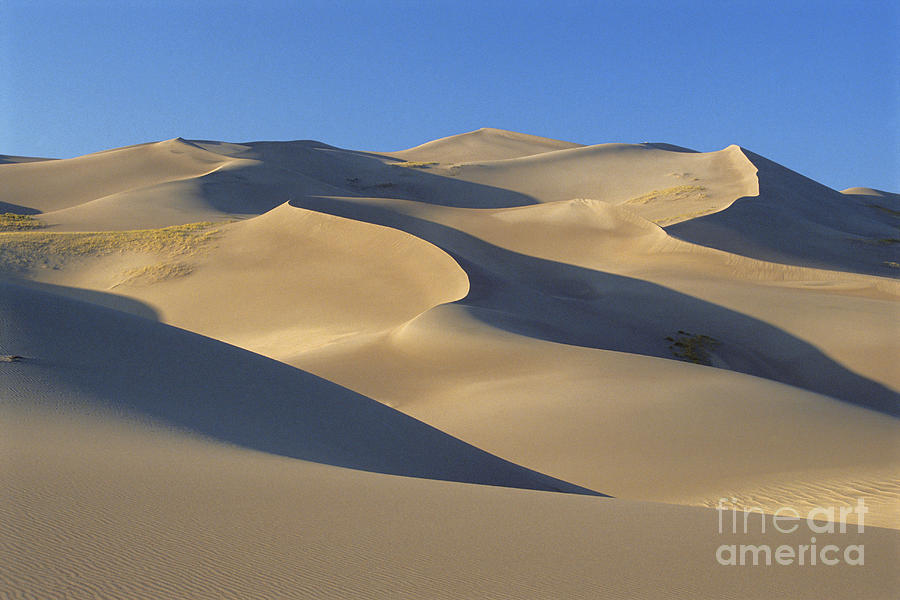 Great Sand Dunes National Park Photograph - Great Sand Dunes National Park by Mark Newman