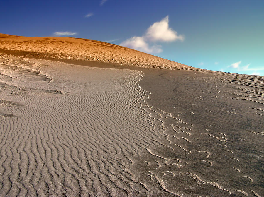 Great Sand Dunes National Park Photograph - Great Sand Dunes National Park by Mountain Dreams