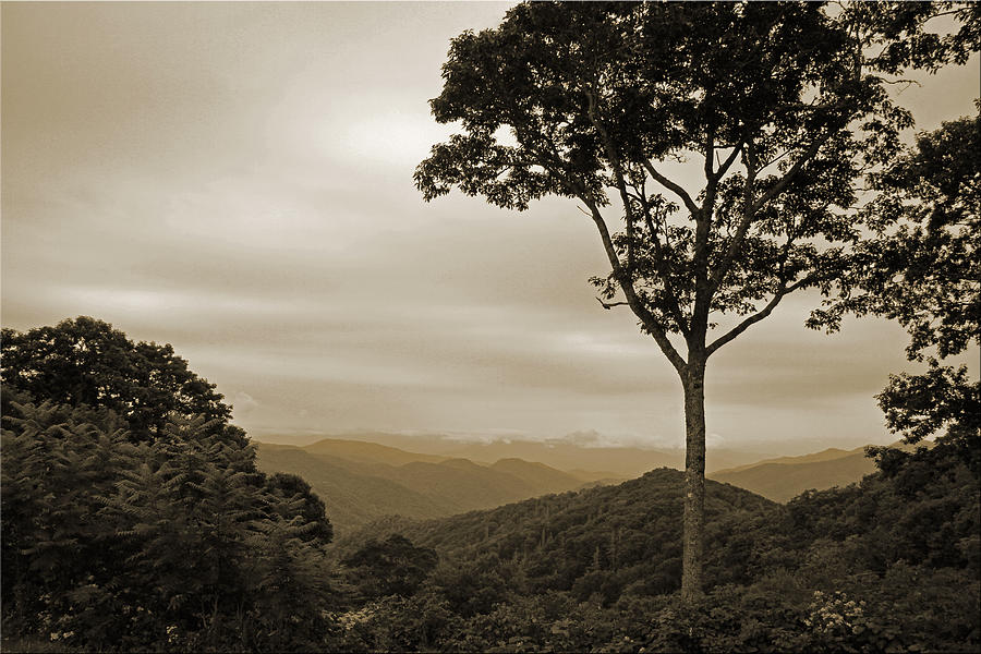 Mountain Photograph - Great Smokies by Chet King