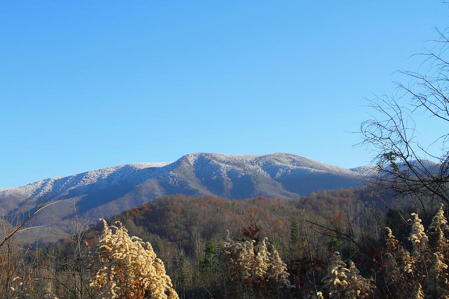 Mountain Photograph - Great Smoky Mountains by Cathy Lindsey