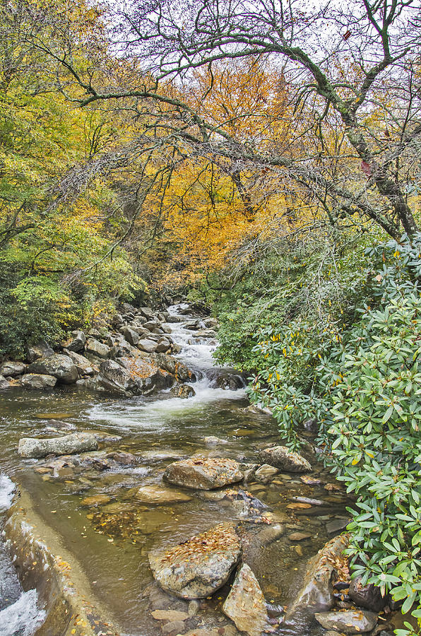 Great Smoky Mountains Creek 2 Photograph by Tina Cannon - Fine Art America