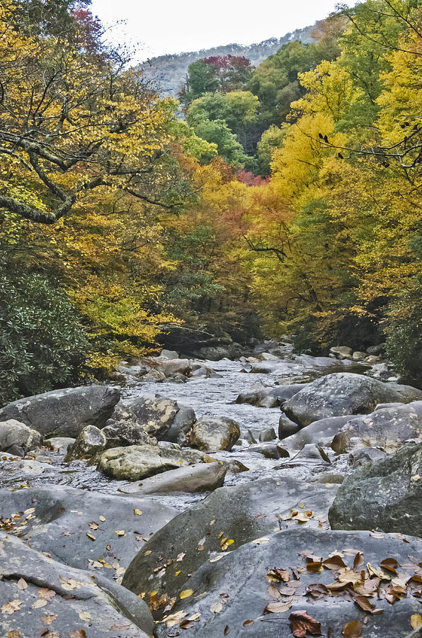 Fall Photograph - Great Smoky Mountains Creek 4 by Tina Cannon