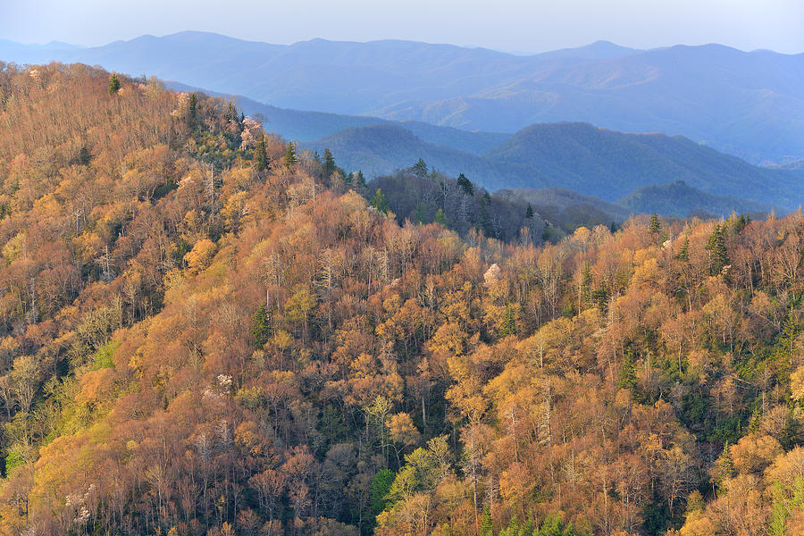 Great Smoky Mountains from Newfound Gap Photograph by Dean Pennala ...