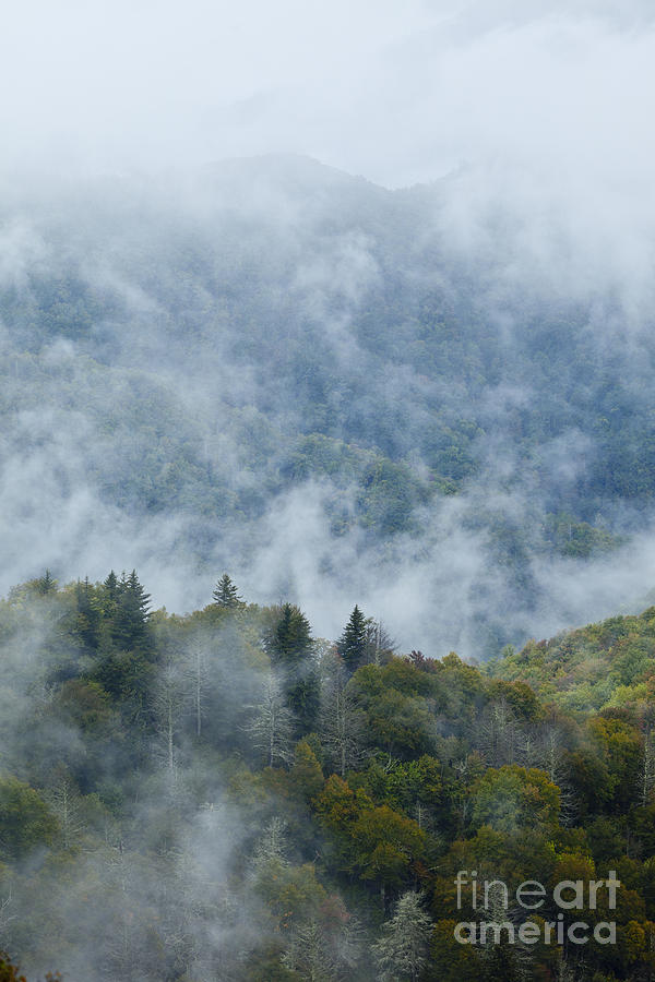 Great Smoky Mountains In Fog Photograph by John Wollwerth - Fine Art ...