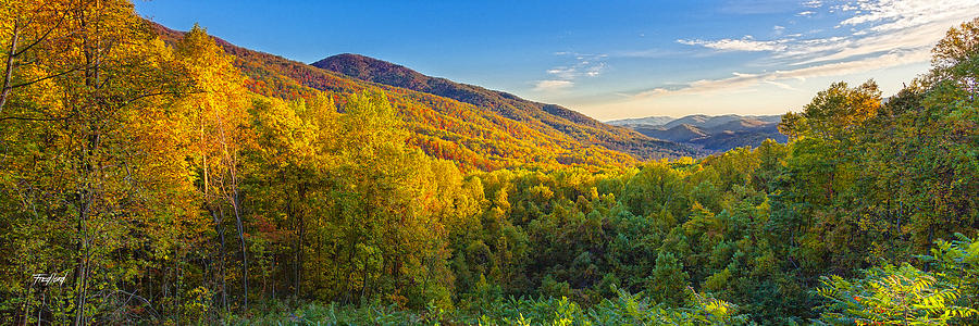 Great Smoky Mountains National Park Photograph by Fred J Lord