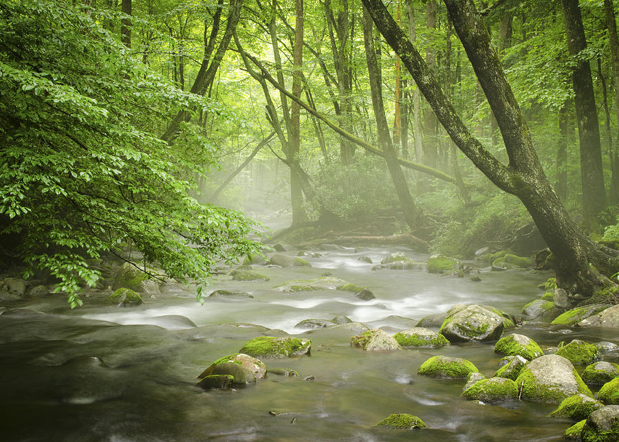 Great Smoky Mountains NC Misty Mountain Flow Photograph by Robert Stephens