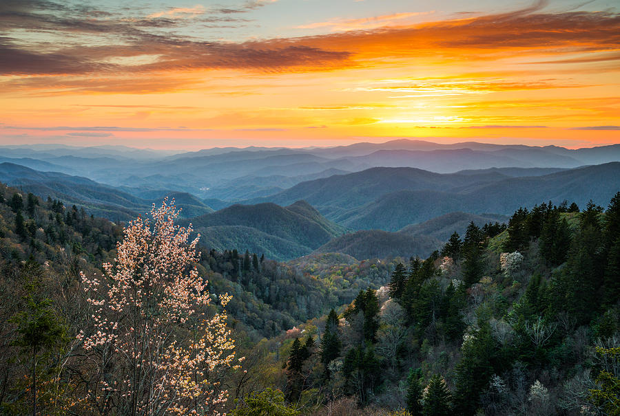 Great Smoky Mountains Spring Sunset Landscape Photography Photograph by Dave Allen