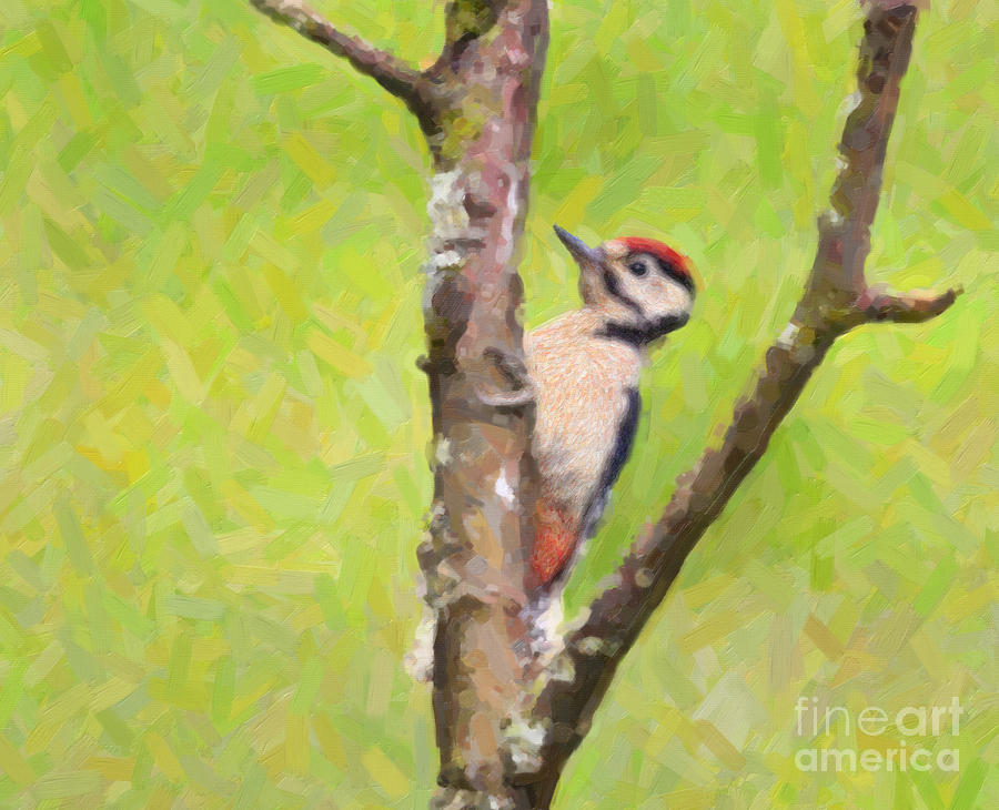 Great Spotted Woodpecker Digital Art by Liz Leyden