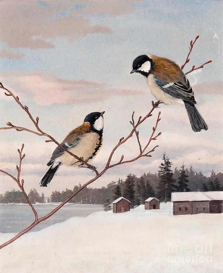 Wildlife Painting - Great Tits by Celestial Images