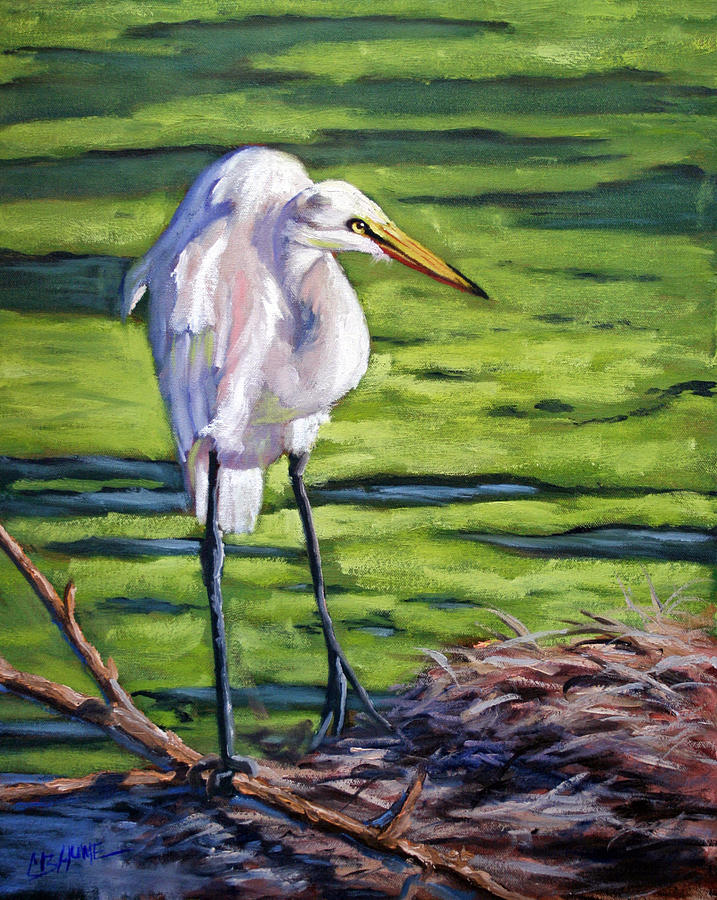 Egret Painting - Great White Egret by CB Hume