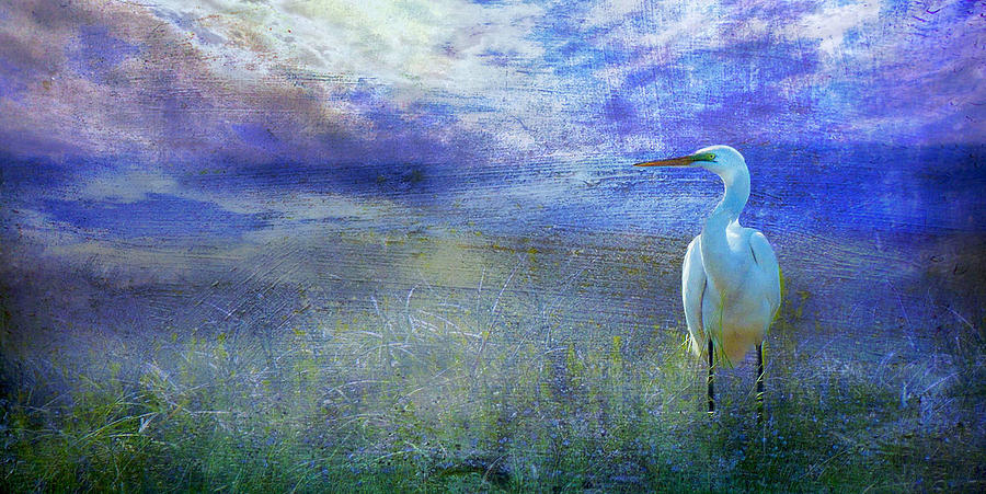 Nature Digital Art - Great White heron by Deborah Mix