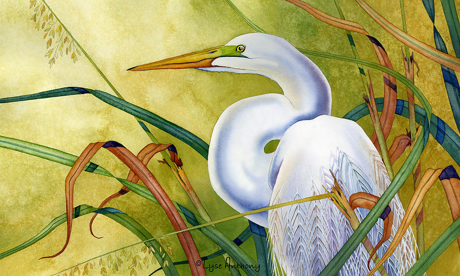 Great White Heron Painting by Lyse Anthony