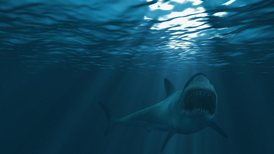 Great white shark, mouth stretched just before attacking Photograph by MediaProduction