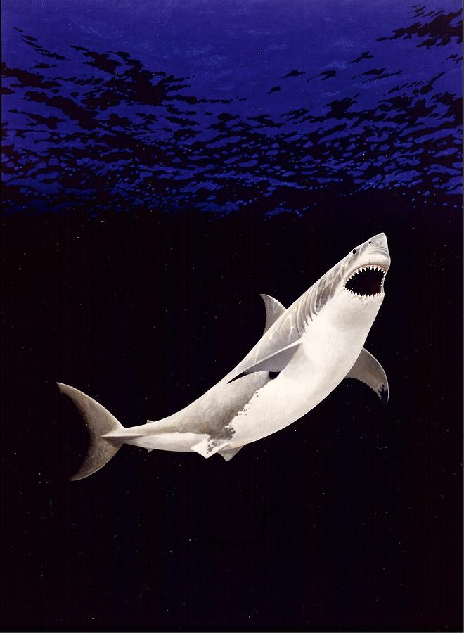 Great white shark Painting by Richard Ellis - Fine Art America