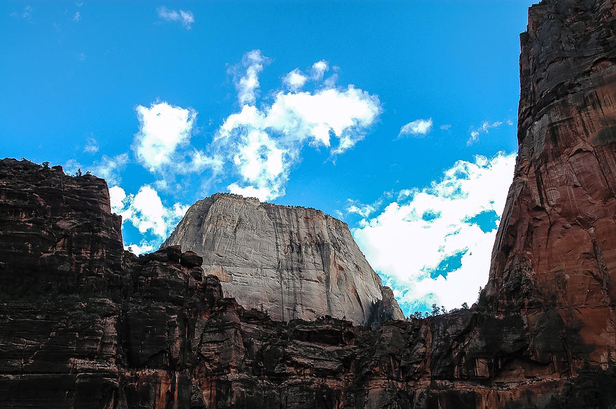 Zion National Park Photograph - Great White Throne by Carl Nielsen