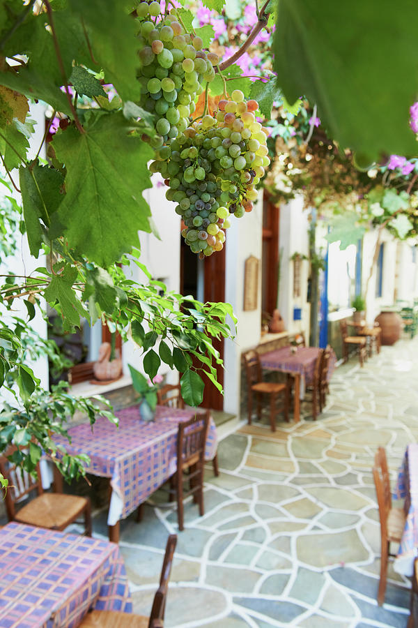 Greece, Cyclades Islands, Kythnos Photograph by Tuul & Bruno Morandi Greece, Cyclades Islands, Kythnos Photograph by Tuul & Bruno Morandi