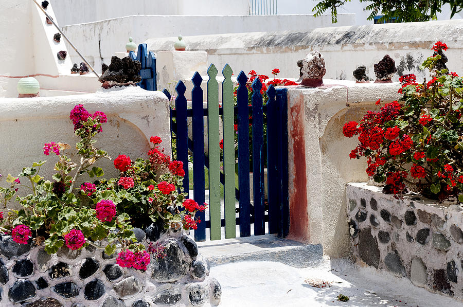 Greek Garden Gate Photograph by Brenda Kean