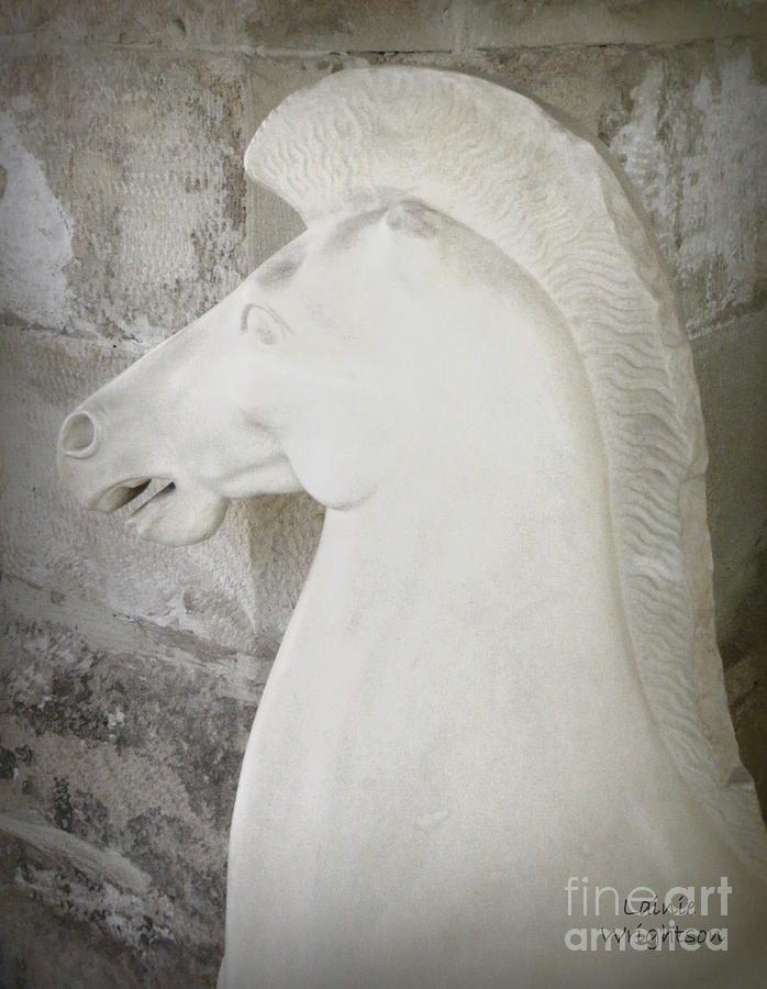 Greek Photograph - Greek Horse Sculpture by Lainie Wrightson