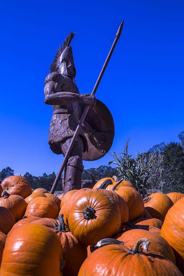 Greek Warrior Among The Pumpkins Photograph by Garry Gay