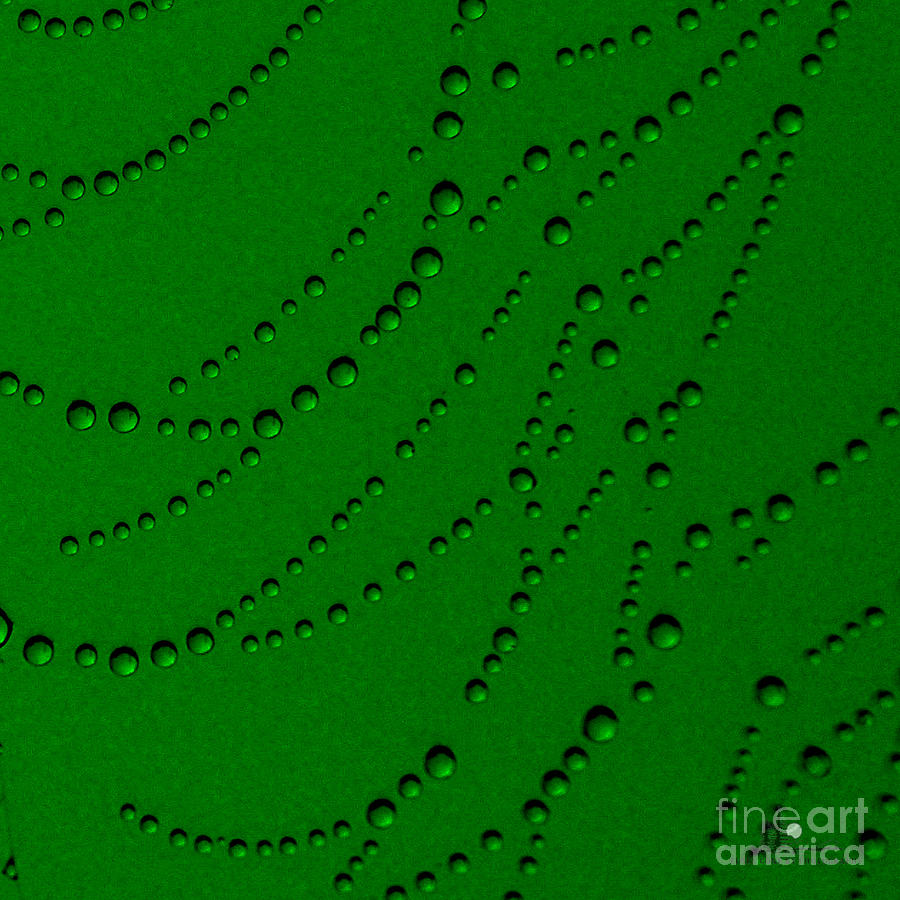 Green Abstract Photograph by Ronald Grogan
