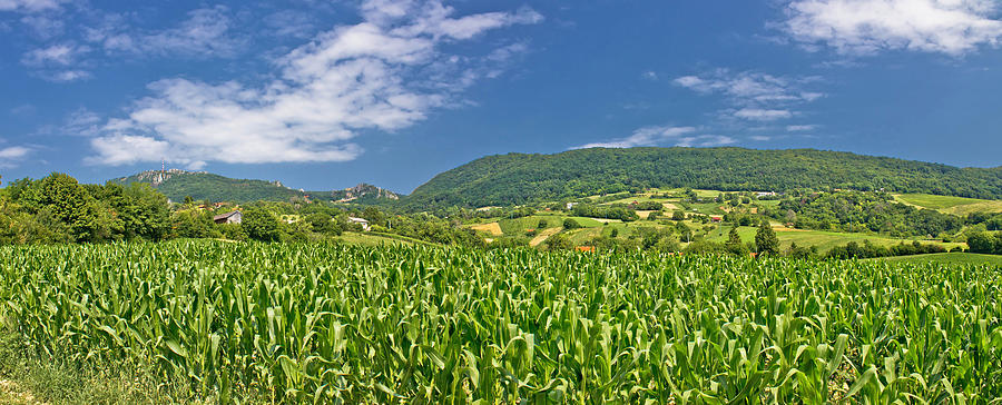 Green agriculture fields panoramic view Photograph by Brch Photography