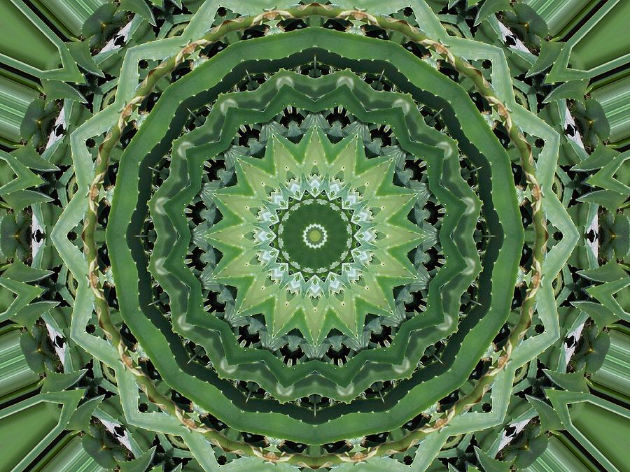 Green Aloe Kaleidoscope Photograph by Sheri McLeroy
