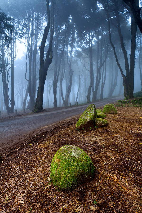 Green and Blue Photograph by Jorge Maia