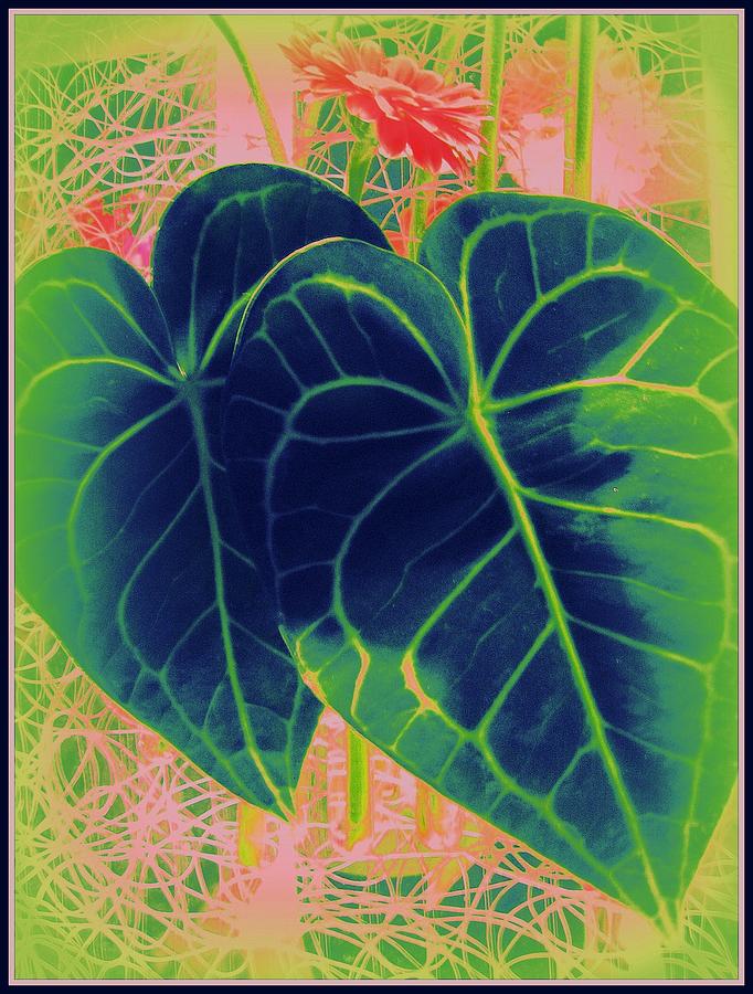 Abstract Photograph - Heart Shaped Leaves Pop Art by Dora Sofia Caputo