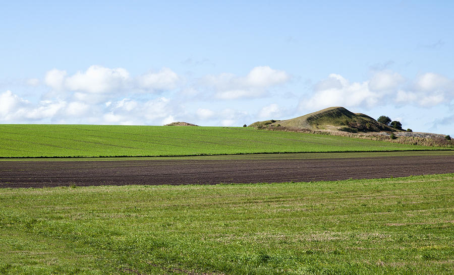 Danish landscape in Summer Photograph by Mike Santis