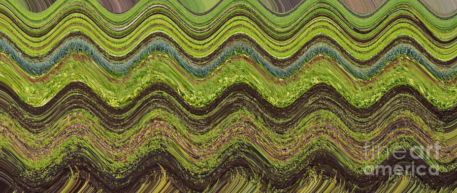Abstract Photograph - Green and brown waves by Les Palenik