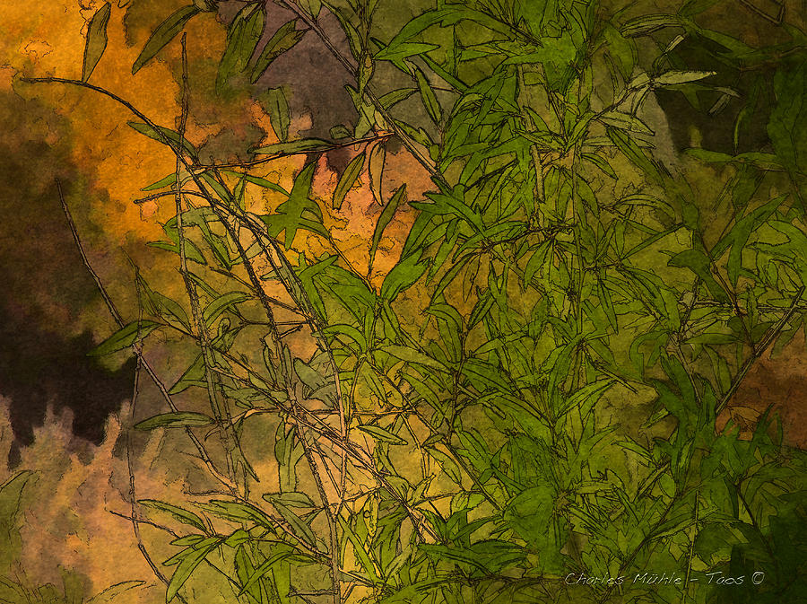 Green and Gold Digital Art by Charles Muhle