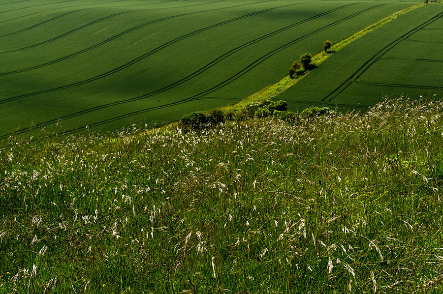 Green and pleasant land Photograph by Gary Eason