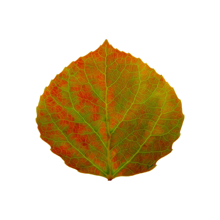 Green And Red Aspen Leaf 5 Digital Art