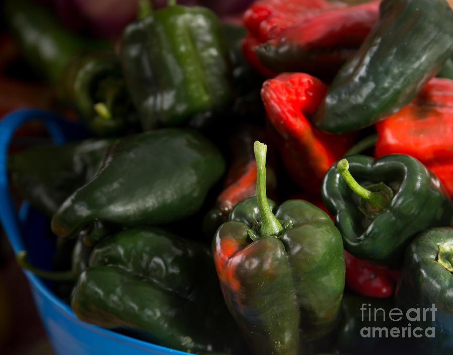 Green and Red Peppers in Blue container Photograph by Rebecca Cozart
