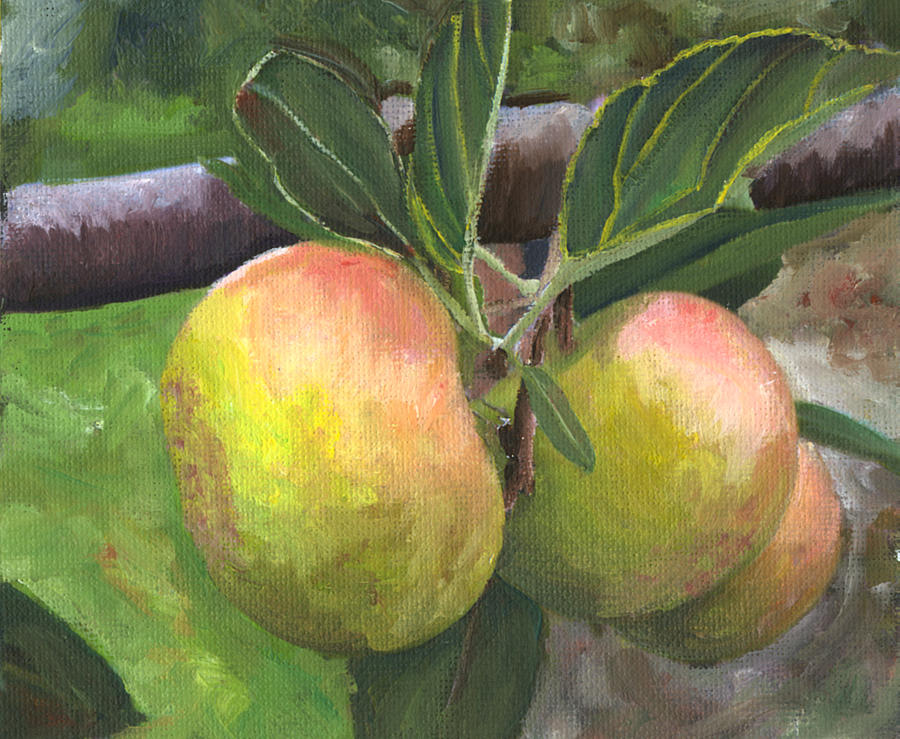 Green Apples Painting by Mary Jo Zorad