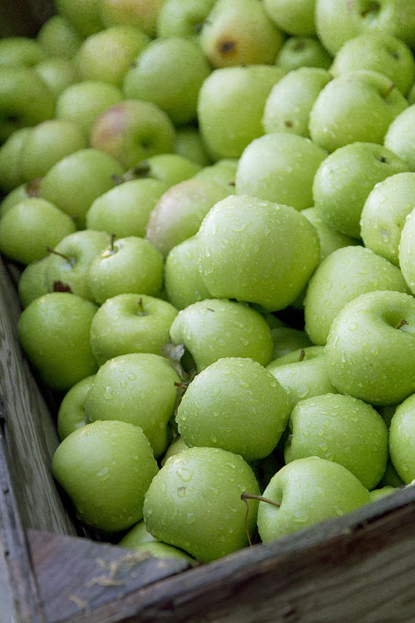 Green Apples Photograph by Rebecca Cozart
