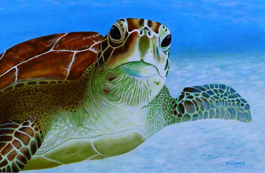 Green Back Turtle Painting by David Hawkes - Fine Art America