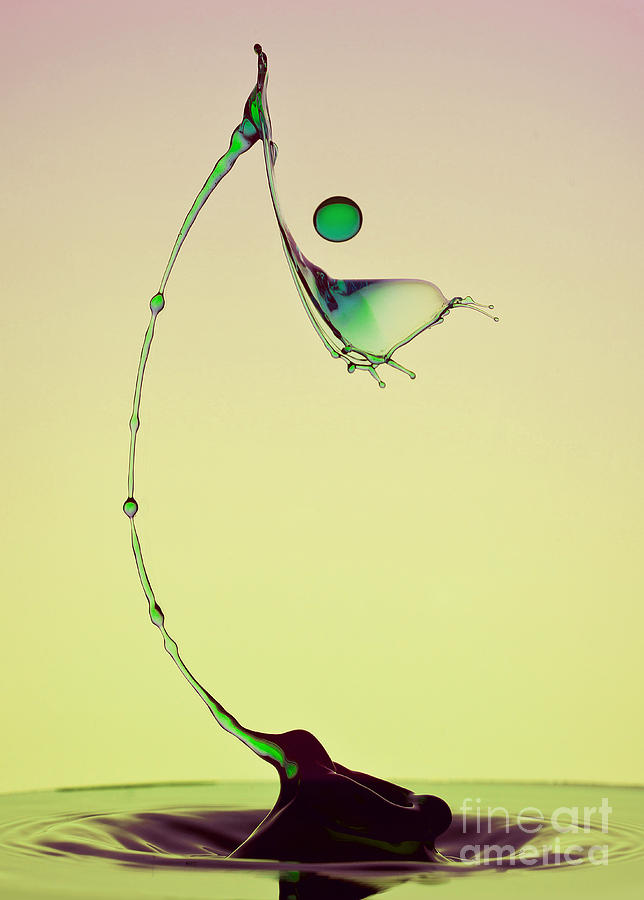 Green ball Photograph by Jaroslaw Blaminsky
