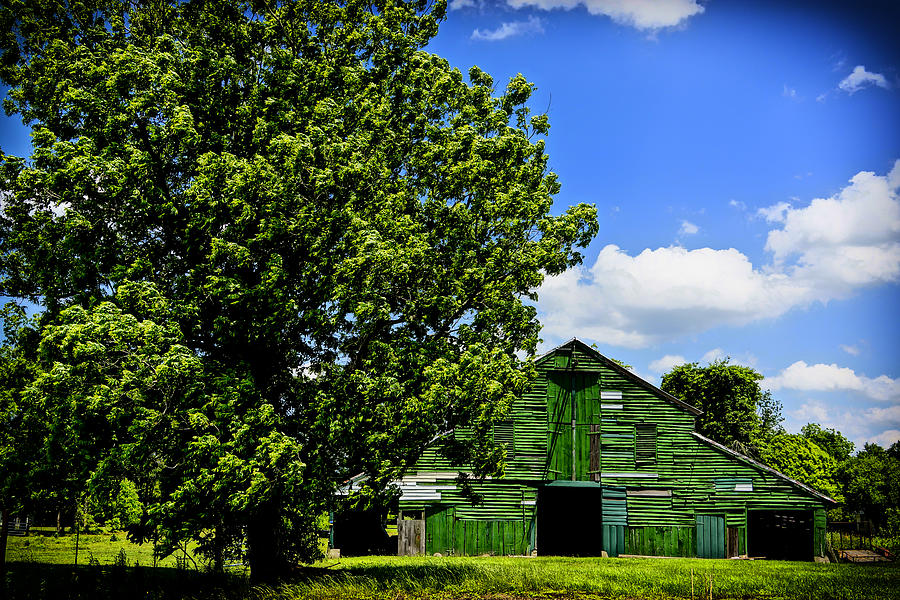 Green Barn Baton Rouge LA DSC04443 Photograph by Greg Kluempers
