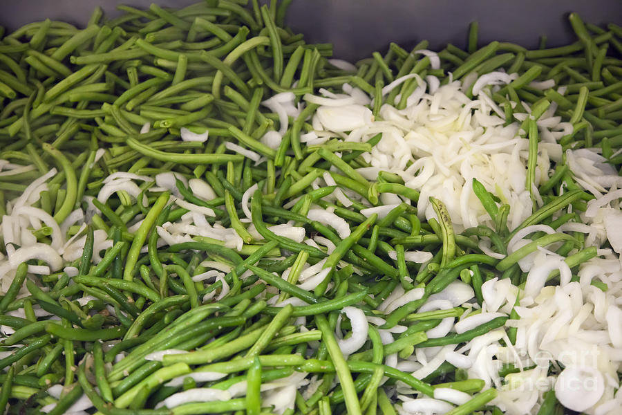 Green Beans and Onions Photograph by Jim West