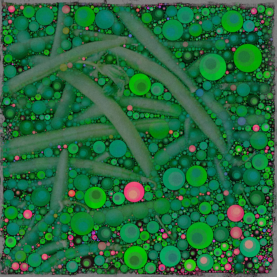 Green Beans Digital Art by Dorian Hill